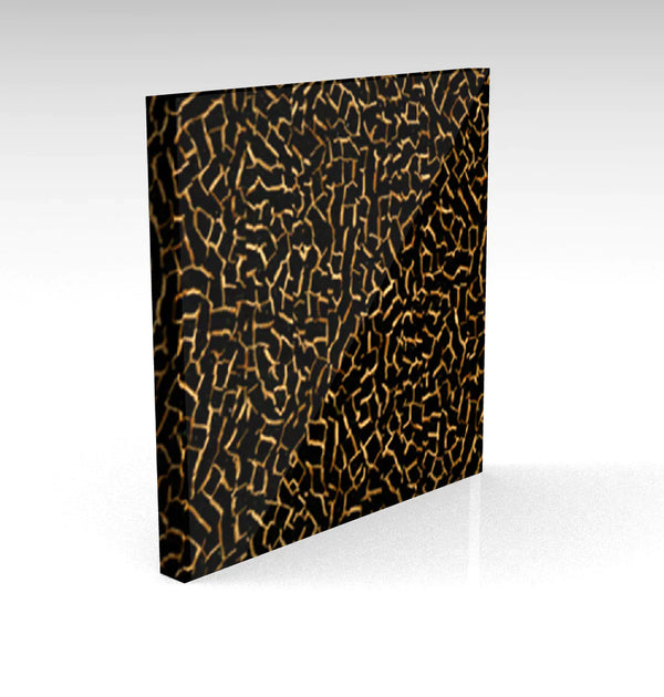 Black Crackle Specialty Acrylic